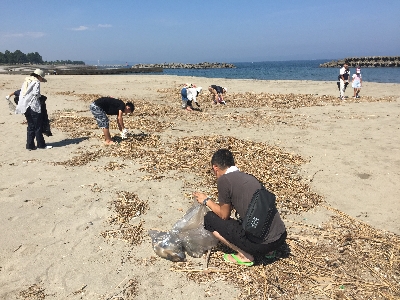 海岸清掃活動2016