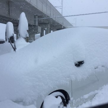 富山は記録的大雪です！